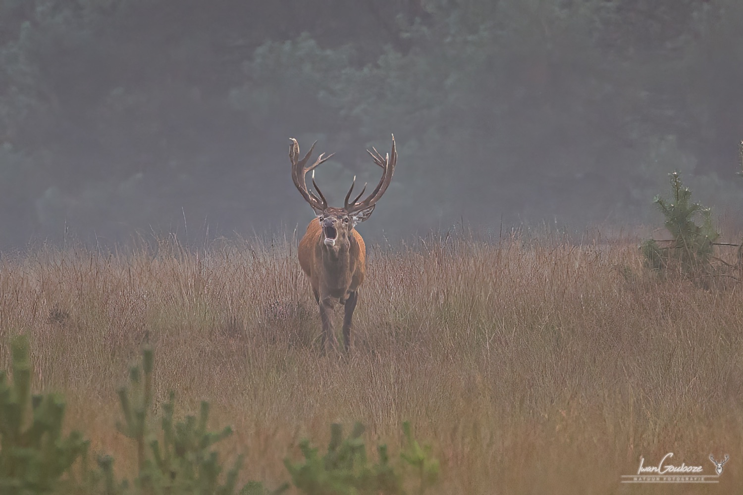 17 september 2023 185622  R2A4796 bewerkt